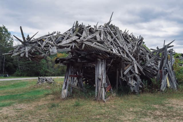 A large sculpture made of wooden planks resembling a creature, set against a cloudy sky and grass