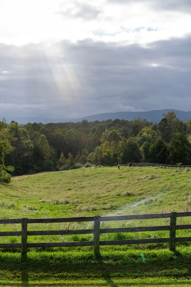 A serene landscape with a grassy field, wooden fence, and dense trees under a cloudy sky with sun rays breaking through