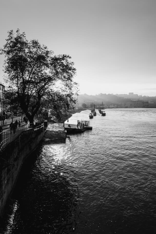 A black and white riverside scene with a tree-lined walkway, a dock, and boats on the water under a bright sky